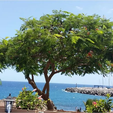 330 - Edf Aguamarina - Vacation In The Coast Line Of Golf Del Sur *