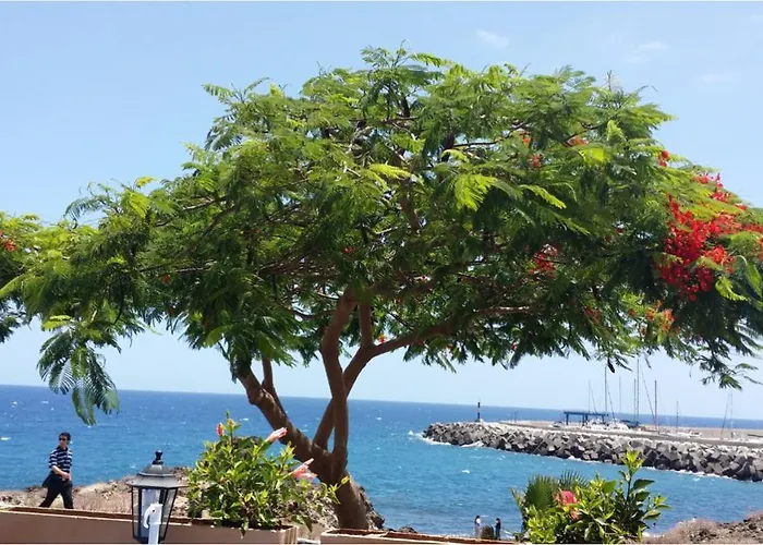 330 - Edf Aguamarina - Vacation In The Coast Line Of Golf Del Sur *